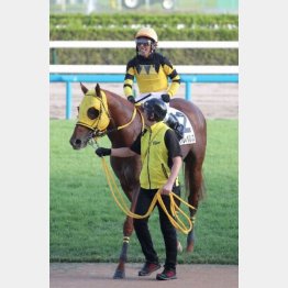 昨秋以来の勝利を狙う