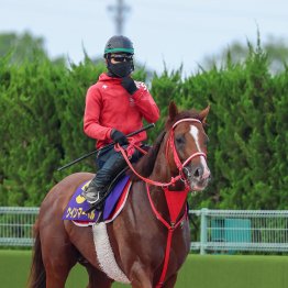【新谷の日曜競馬コラム・安田記念】