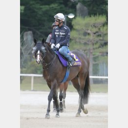 今まさに充実期