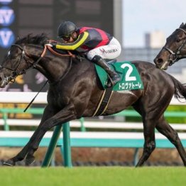 【市川の日曜競馬コラム・安田記念】