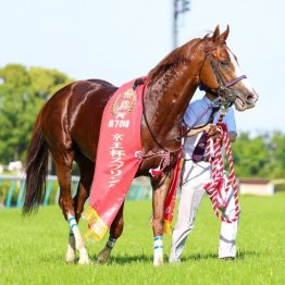 【飯島の日曜競馬コラム・東京２Ｒ】