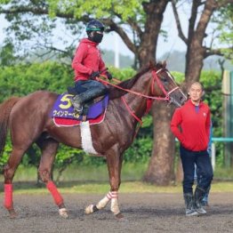 【新居の日曜競馬コラム・安田記念】