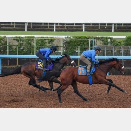 今週は文句なし