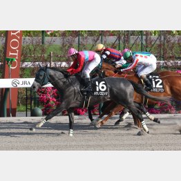 巨椋池Ｓを快勝