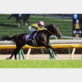 昨年のＮＨＫマイルＣを快勝