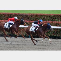 昇級3戦目で連対