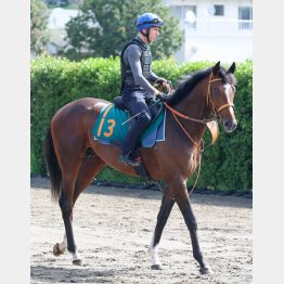 3週連続でレーンが騎乗