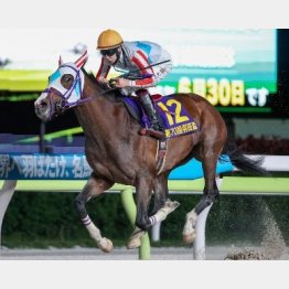 1冠目は5馬身差の圧勝