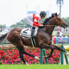 クロワとダノンヒストリーの違いは