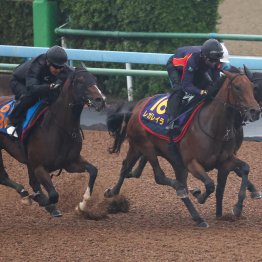 【宝塚記念】これぞケガの功名か　レガレイラ大きく成長
