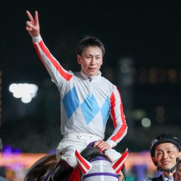 ダート３冠２年目でナチュラルライズは早くも３冠馬となるのか