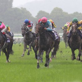 【宝塚記念】雨がプラスに働く馬、マイナスになる馬