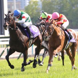 【宝塚記念】世代別で比較して分かった５歳馬はダートで強いが、芝の二千二百㍍以上４歳の天下