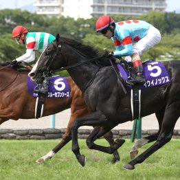 【宝塚記念】データ作戦　近年は関東馬が活躍