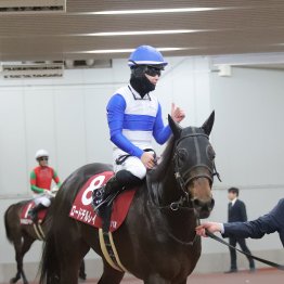 【宝塚記念】好素材がいよいよ充実期 ロードデルレイGⅠ奪取へ