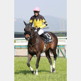 芝でもスピード負けしない