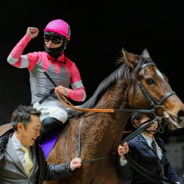 【藤岡の土曜競馬コラム・函館スプリントＳ】