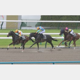 前走オーストラリアTは②着