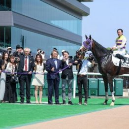 【飯島の土曜競馬コラム・日野特別】
