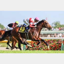 プリンシパルSでオープン特別2勝目