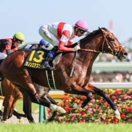 【大谷の土曜競馬コラム・ジューンＳ】