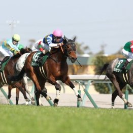 【武田の土曜競馬コラム・函館スプリントＳ】