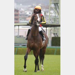 秋へ向けて賞金を加算したい