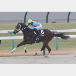 前走まで４連勝