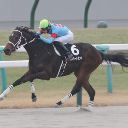 【大阪本紙・弘中の土曜阪神11Ｒ】