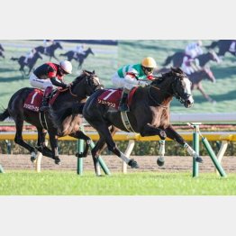 2歳時には東スポ杯2歳S②着がある