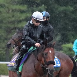 【宝塚記念】出走全馬の特選情報