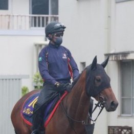 【宝塚記念】出走全馬の特選情報