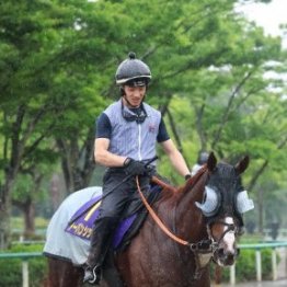 【宝塚記念】出走全馬の特選情報