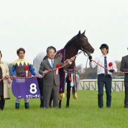 ２０１５年宝塚記念制覇ラブリーデイ