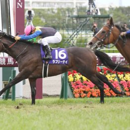 ２０１５年宝塚記念制覇ラブリーデイ