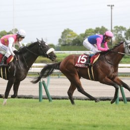 【大谷の日曜競馬コラム・宝塚記念】