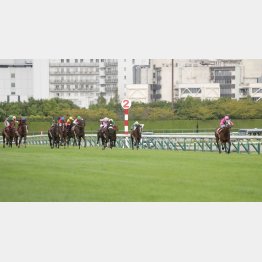 名手を背に絶妙な逃げ切りを図る