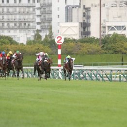【武田の日曜競馬コラム・宝塚記念】