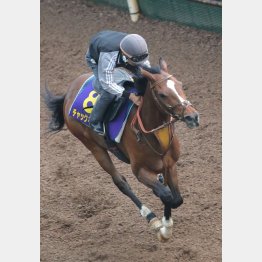 栗東入り調整で意気込みが違う