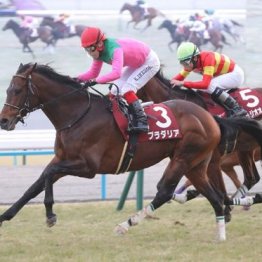 【田中の日曜競馬コラム・宝塚記念】