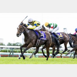皐月賞と同じ道悪でGⅠ2勝目へ