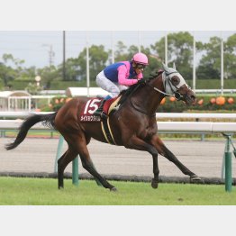 渋った馬場も苦にしない
