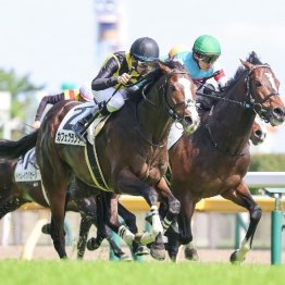 【東京本紙・外山の日曜東京10Ｒ】