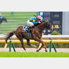 昨年は5月に東京千四で勝利