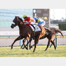 2勝クラス勝ちは強かった