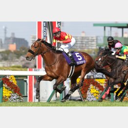 上村師も横山和に絶対の信頼を寄せている