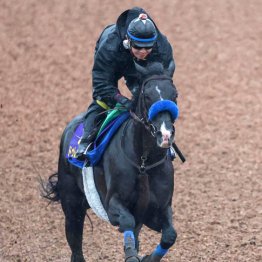 【宝塚記念】◎ドゥレッツァ　海外遠征が糧、２つ目のＧⅠタイトルを