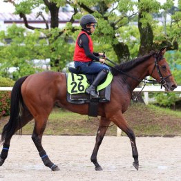 ザタイムハズカム　牝・福永祐一厩舎