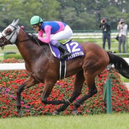 【宝塚記念】武豊メイショウタバルが逃げ切る