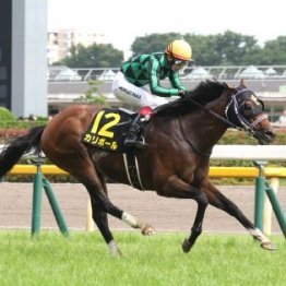 【パラダイスＳ】１４番人気カリボールがＶ